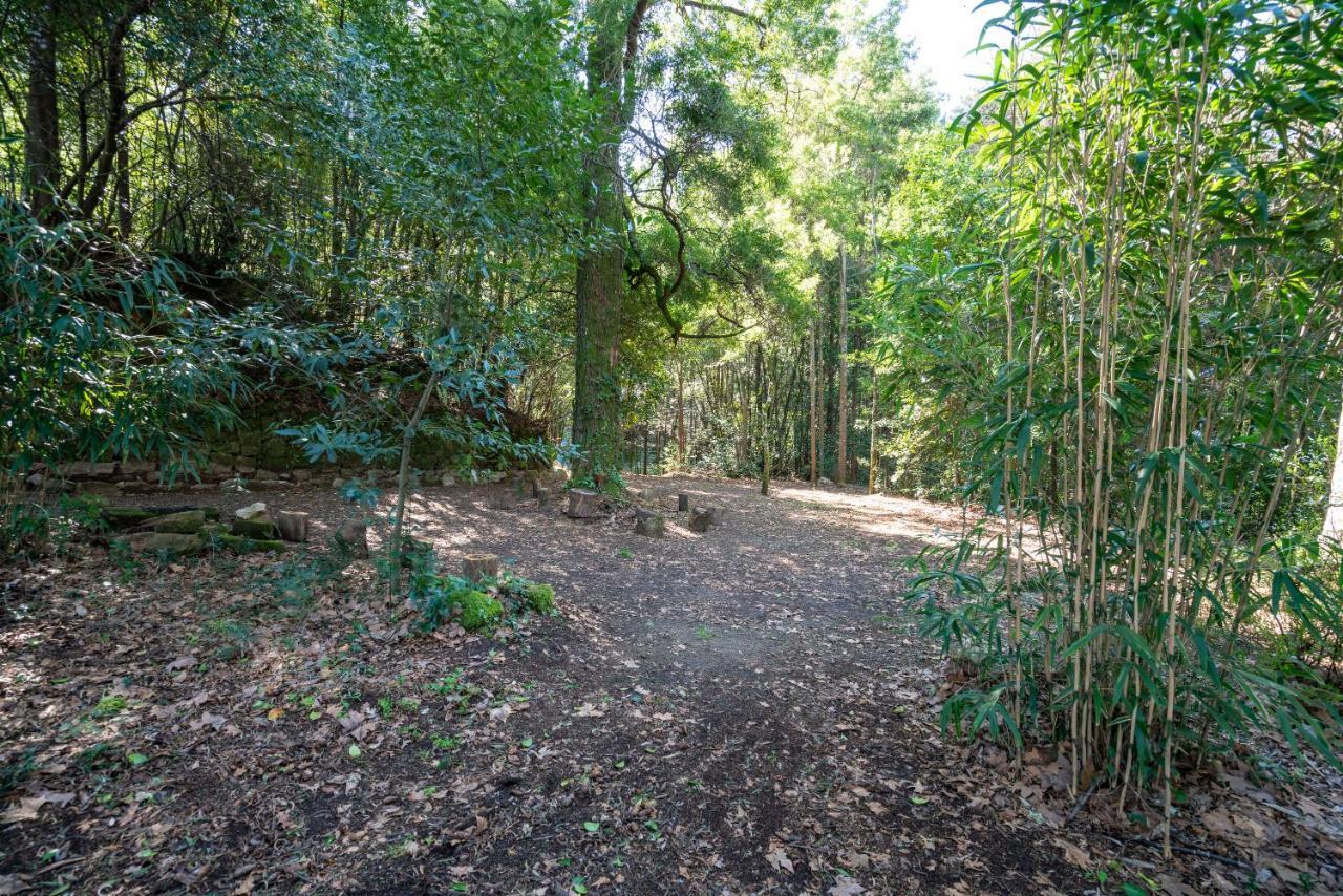 Quinta Das Lamas - Oak Tree House Vouzela Eksteriør bilde