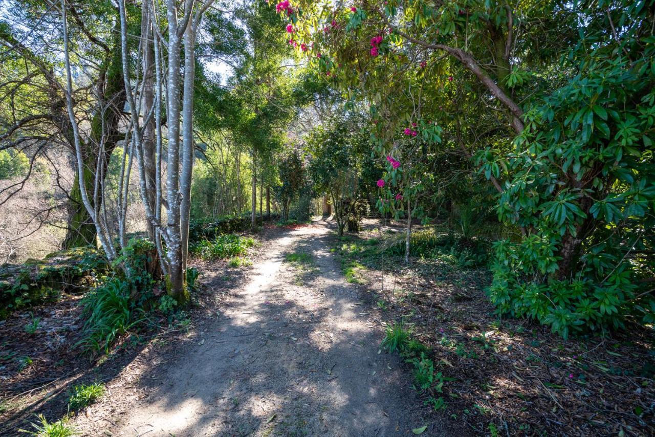Quinta Das Lamas - Oak Tree House Vouzela Eksteriør bilde